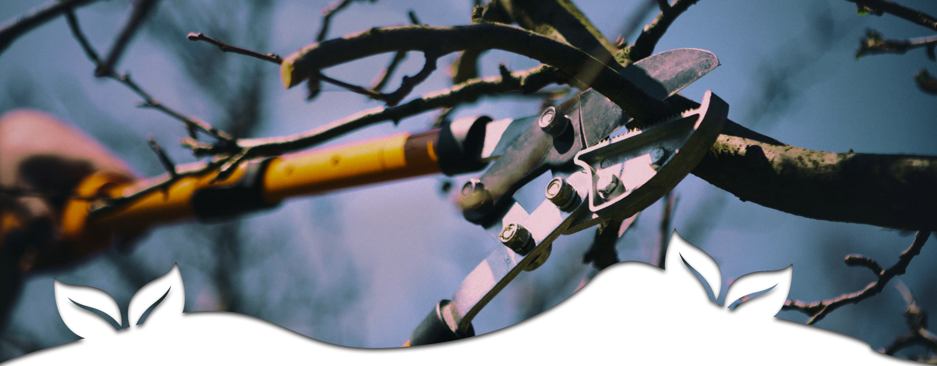 landscaping services (1)