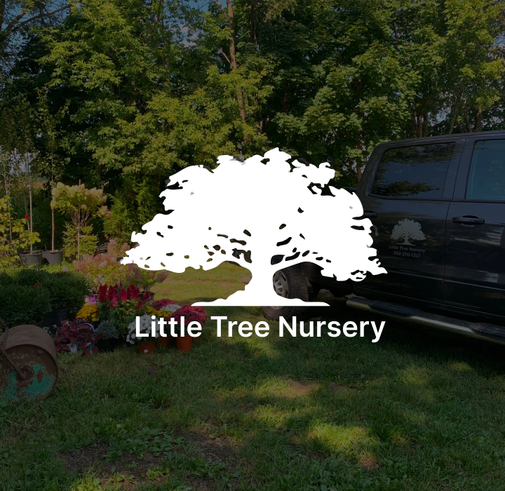 little tree nursery about